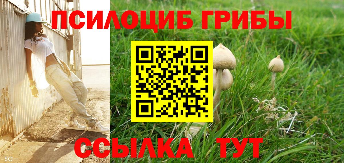 Галлюциногенные грибы GOLDEN TEACHER Балахна